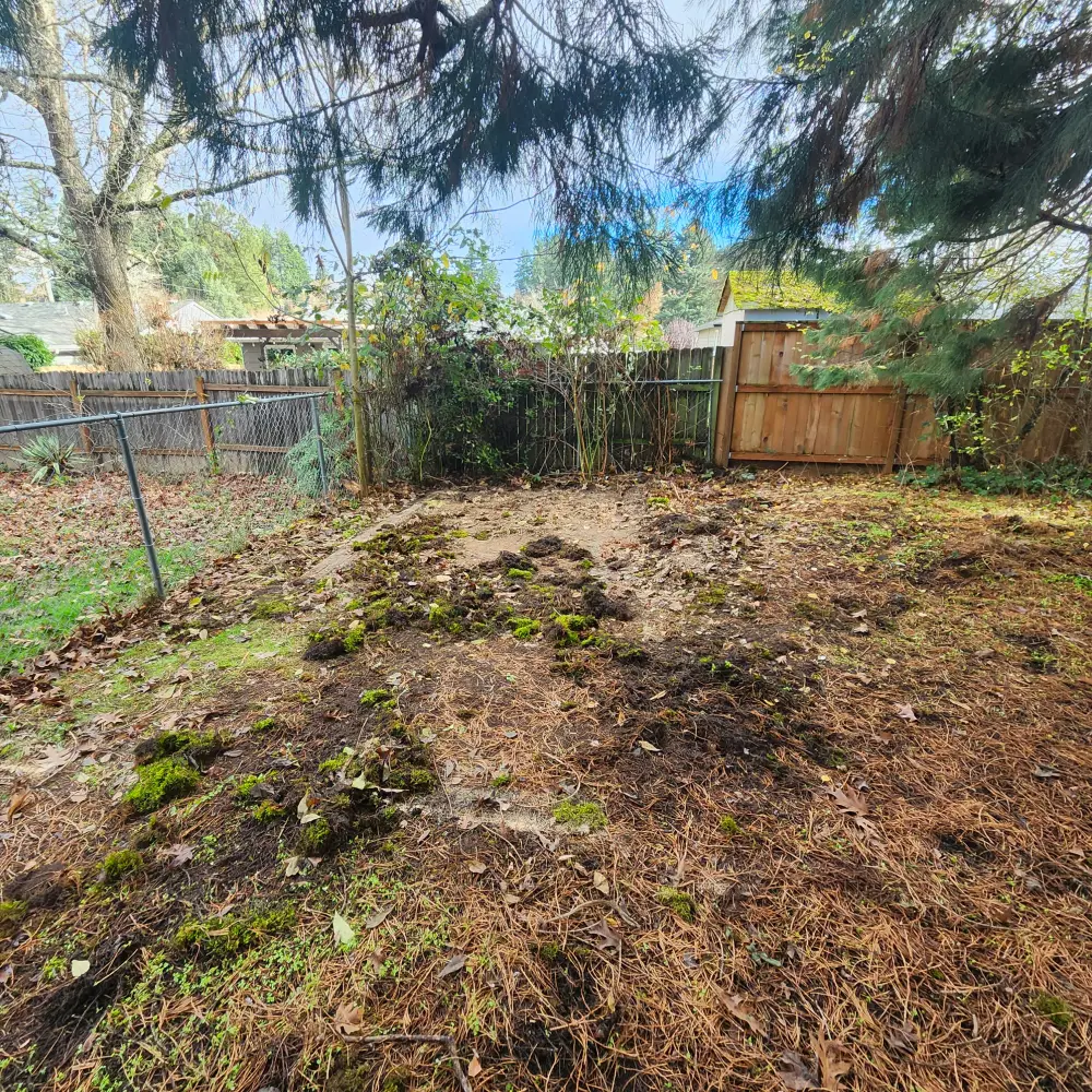 After: the Hayesville yard cleared and leveled after shed removal and debris haul-away